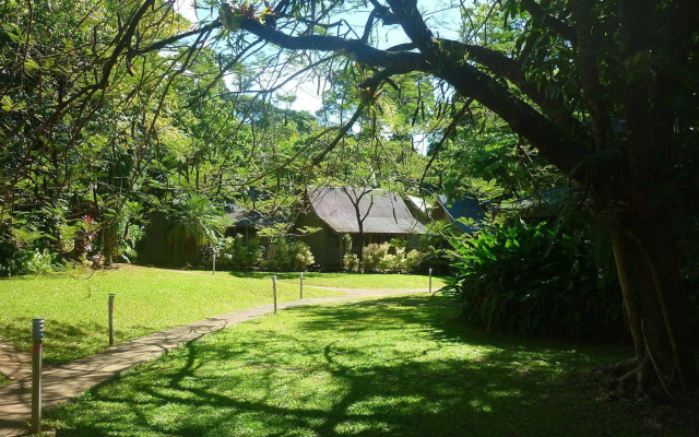 Ferntree Rainforest Lodge