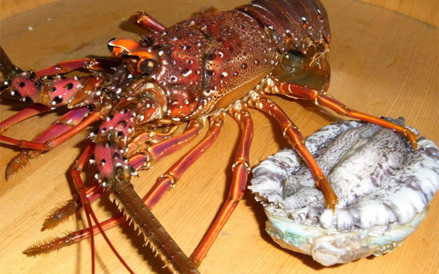 Toushijima Onsen Suzunami