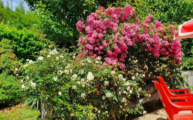 Giardino Dei Fiori