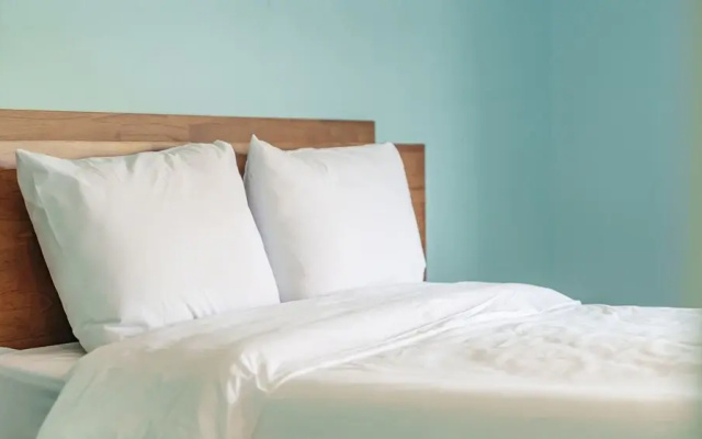 Gapyeong Nami Island Pet-friendly Spa Pe
