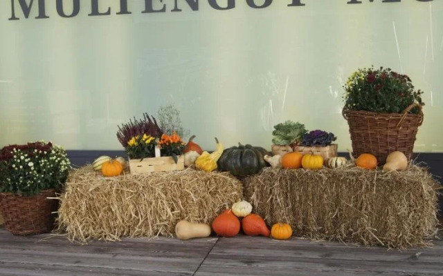 Senevita Residenz & Apartments Muri bei Bern