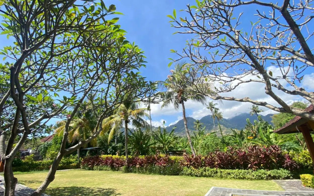 Badini Homestay Pemuteran Bali