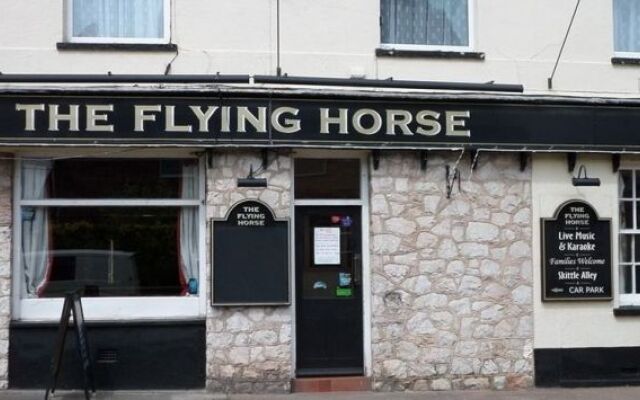 Flying Horse