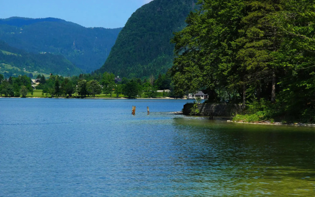 Lovely Apartment in Bohinjska Bistrica with Barbecue