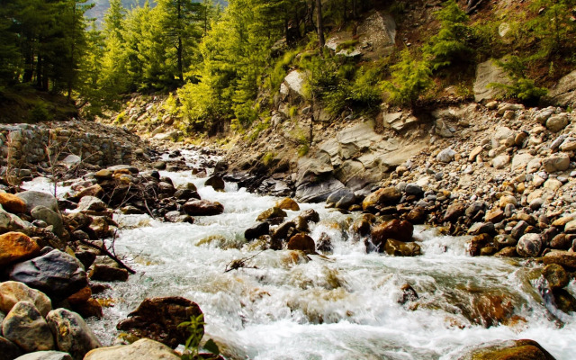 Banjara Camp and Retreat Sangla