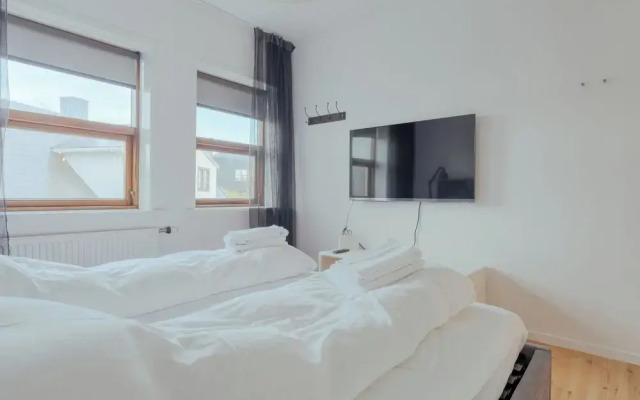 Downtown / Newly Renovated 2 Bedroom Apartment