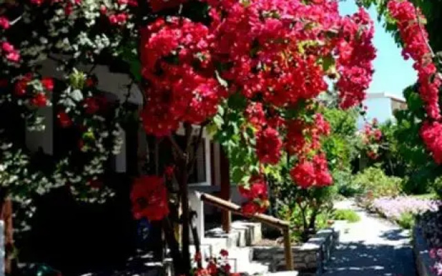 The Garden