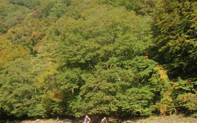 Minakami Campground Riverstone