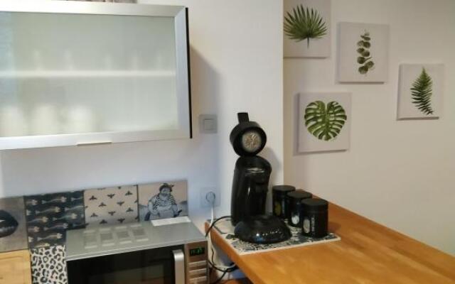 Appartement St remy