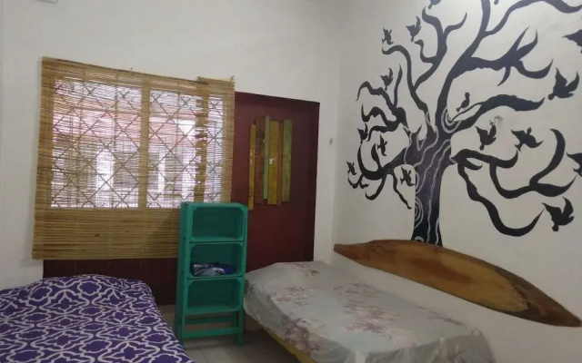 Casa Hostal Mamey - Hostel