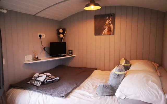 Pen Rhos Luxury Glamping