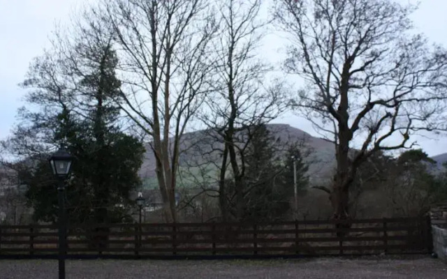 Paddys Palace Dingle Peninsula