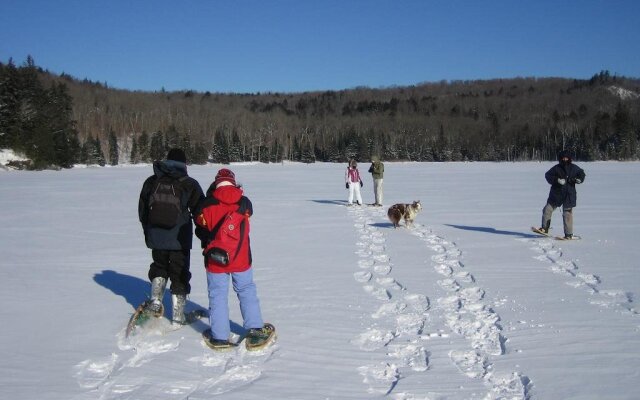 Algonquin Eco-Lodge