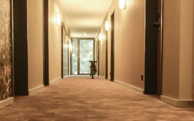 EuroStar Hotel