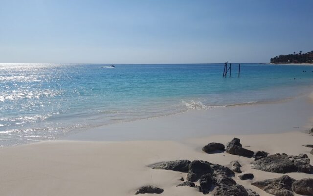 Ocean Front Property - Villa 3 Aruba with Hot Tub