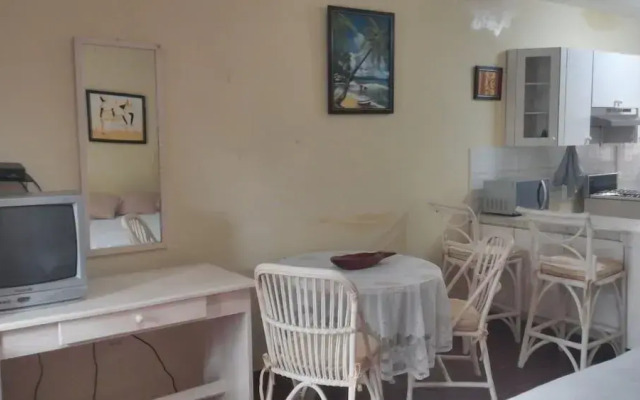 Apartments at Condos Dominicano