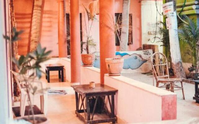 Cactus Guesthouse