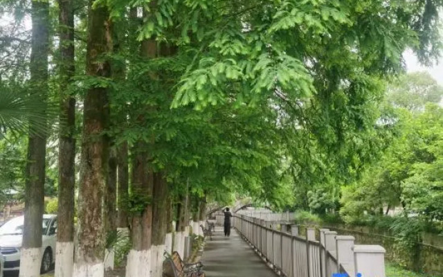 Jiangxi Mine Spa Hotel