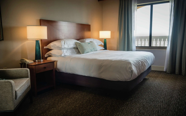 Hilton St. Petersburg Carillon Park