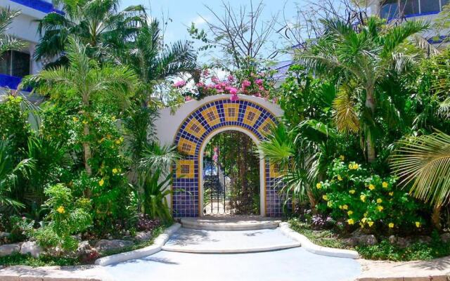 Natz Ti Ha H201 by PRP