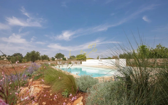 TD Trulli Perla Bianca Trulli With Pool Vineyards