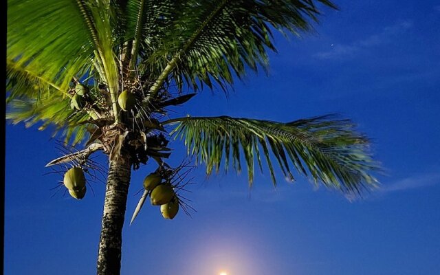 LAUS Bangalôs Experience