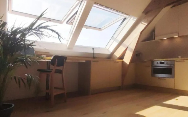 RUIMTEZICHT cosy appartement with sauna