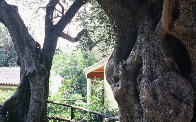 Touring Club Italiano - Marina di Camerota