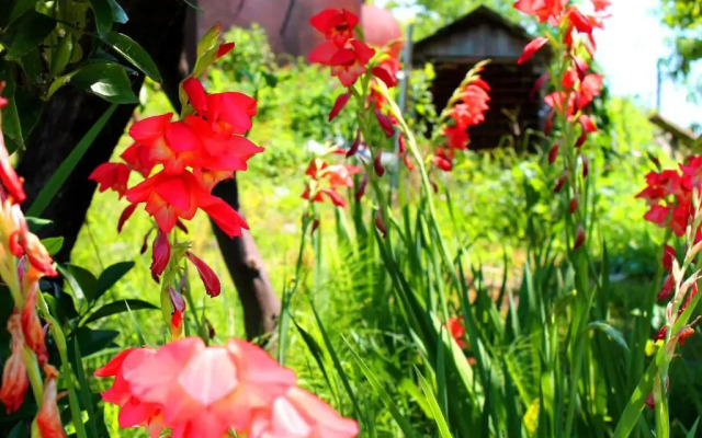 Guesthouse on Lakoba 3