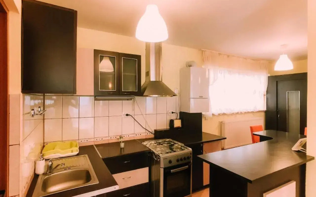 Spacious Apartment near Peles