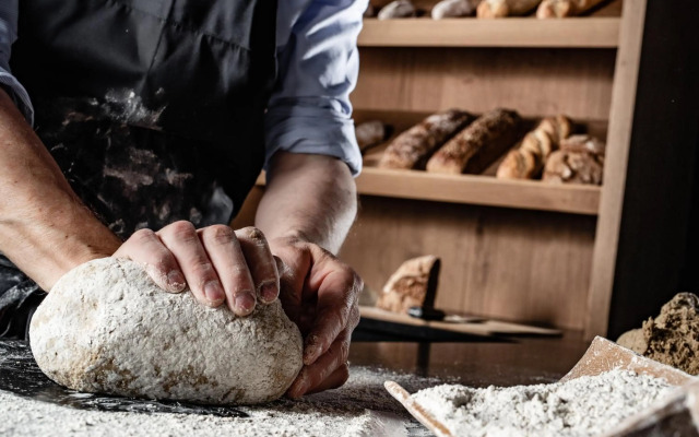 Taubers Bio Vitalhotel