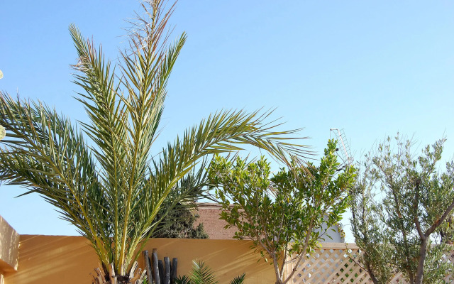 Riad Akka