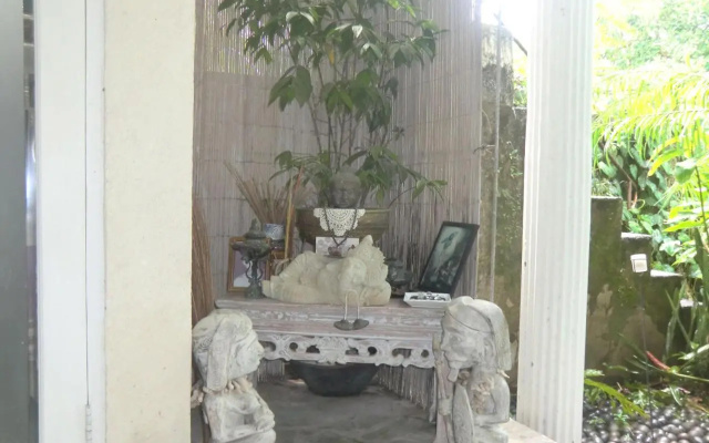 Shady Grove Healing Centre and Homestay – Guest Rooms – Denpasar