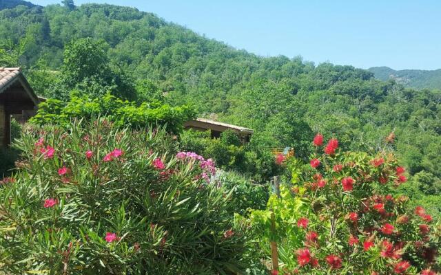 Les Chalets Et Gite du Haut Taravo