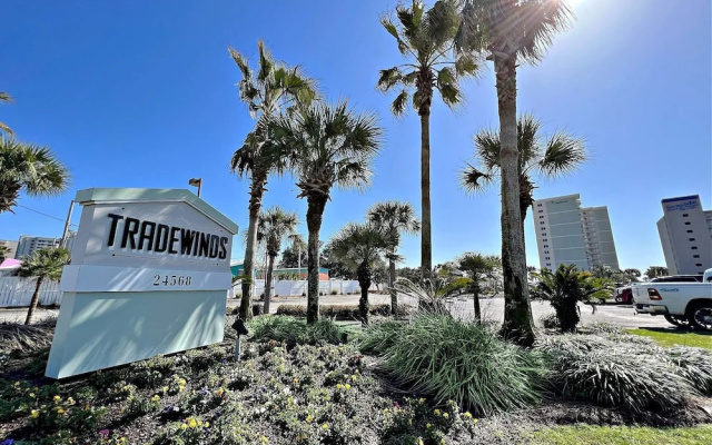 Tradewinds 406 By Redawning