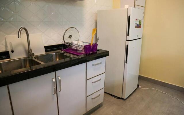 Spacious 3 BDR furnished Apt near junction mall