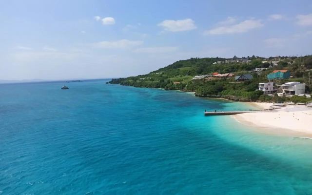 Papillon パピヨン