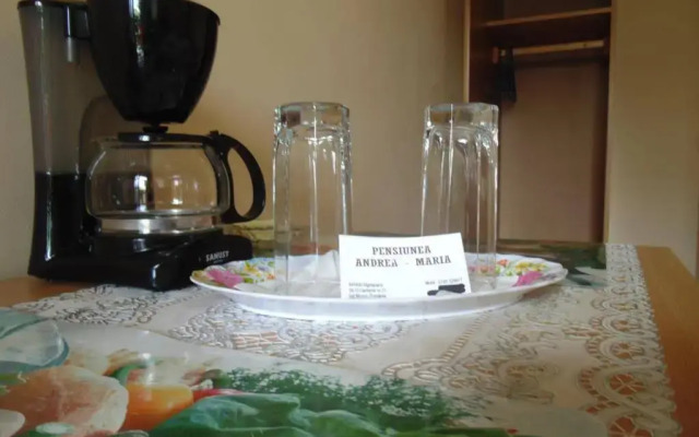 Pensiunea Andrea Maria