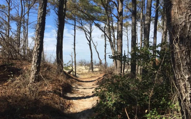 Alyssa House Bed & Breakfast