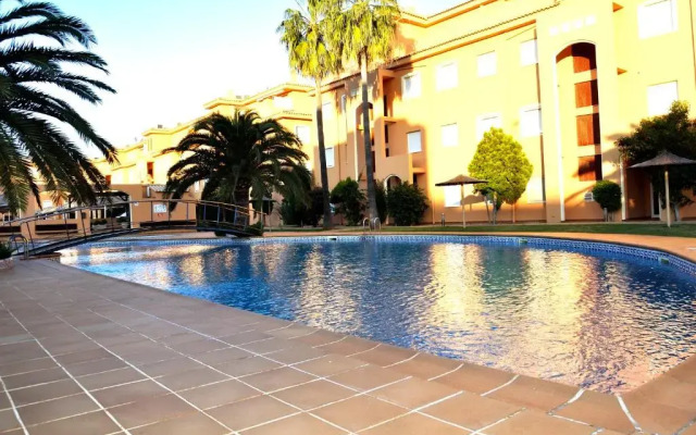 Palm Beach 2d Vista Al Mar