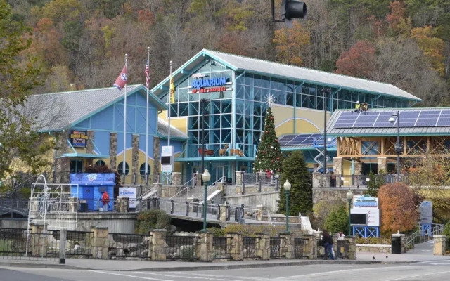 Theater Mountain Hideaway