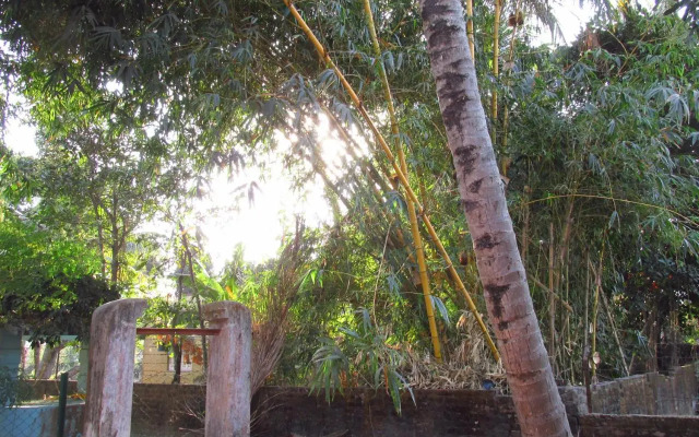 Pubali Homestay
