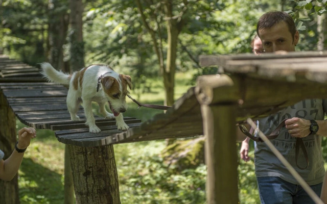 Hotel Mair am Ort (Dog Hotel)