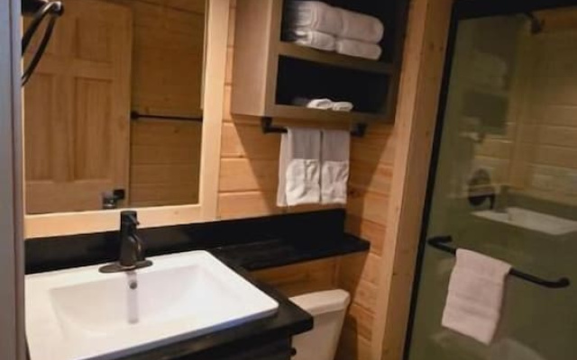 Luxury Cabin with Mountain View 3A