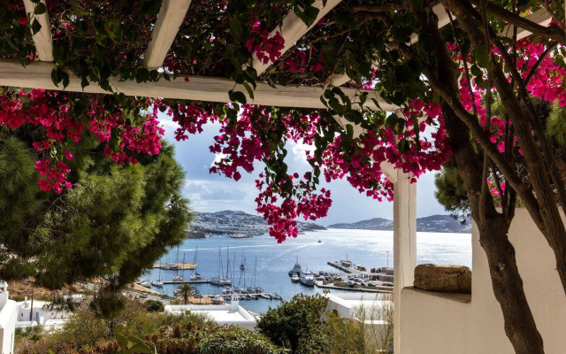 Rhenia Mykonos