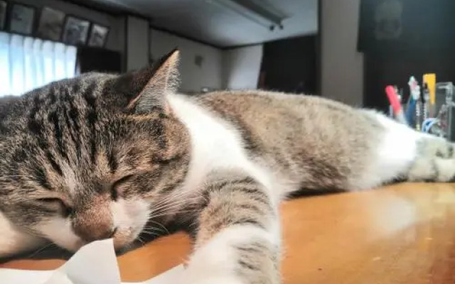 Tiny GuestHouse Umekoji