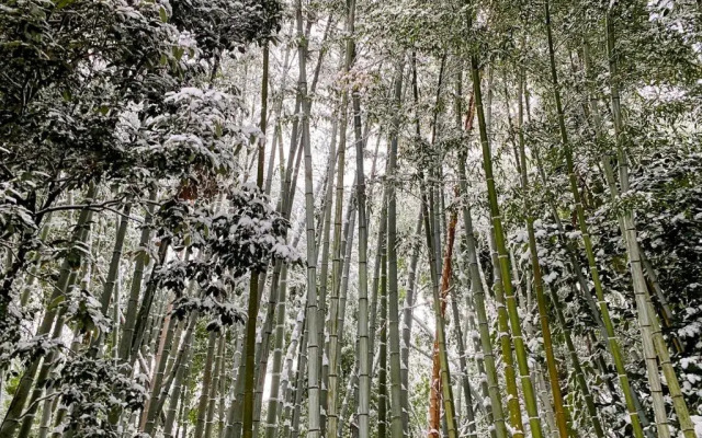 International Guest House Tani House