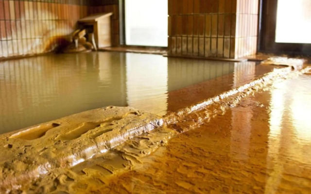 Shin Appi Onsen Seiryukaku