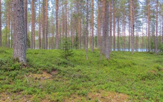 Holiday Home Pilkkaniemi