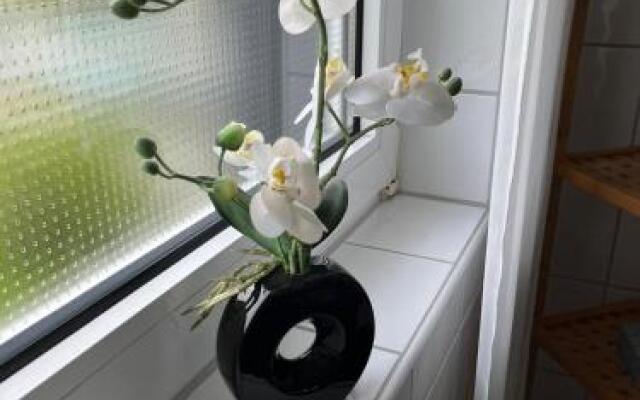 Ferienwohnung Versteeg